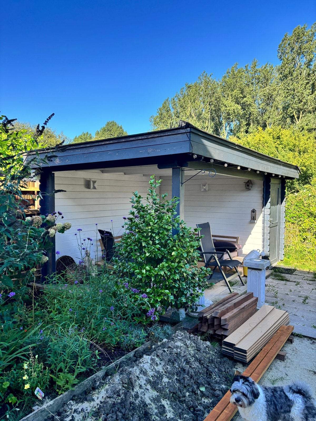 Tuinhuis 300x500 met schuurtje, Ophalen, Tuinhuis, 500 cm of meer, Met overkapping