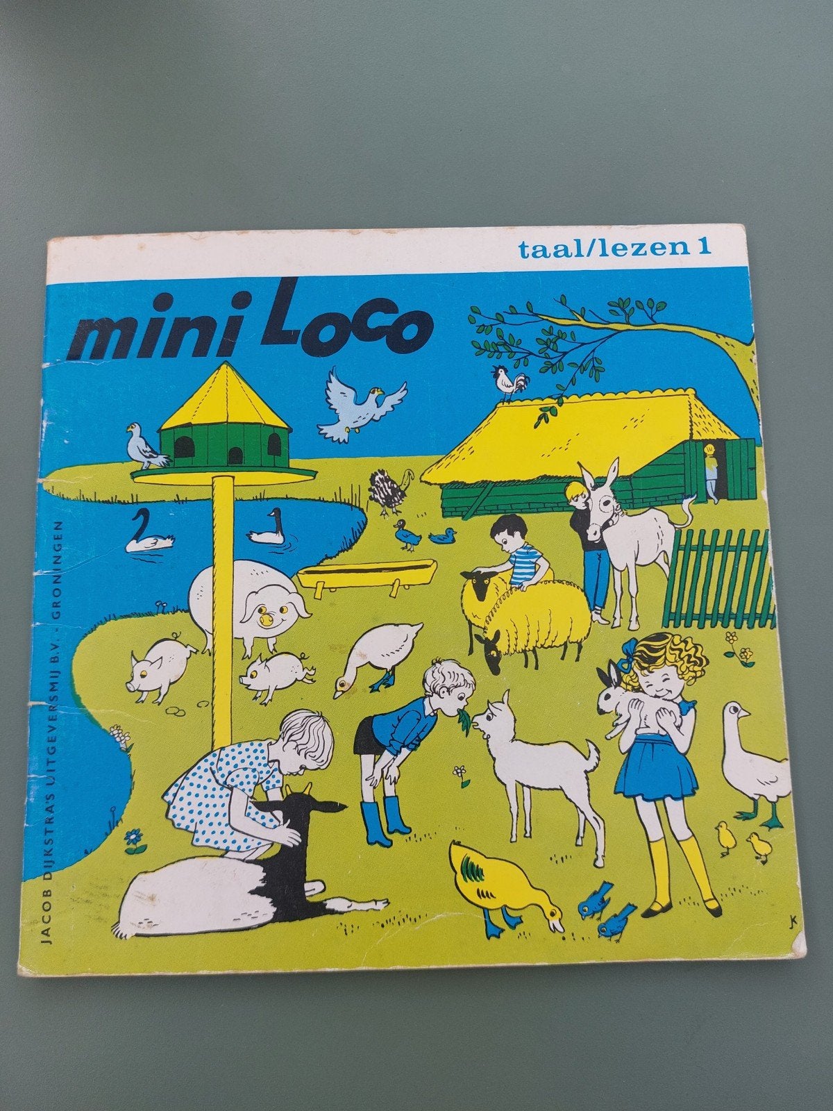 Mini Loco - taal / lezen, Ophalen of Verzenden, Gebruikt, Taal en Lezen