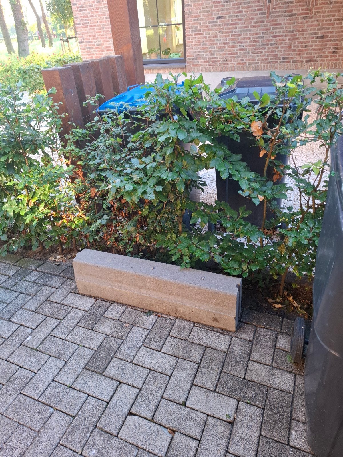 Betonband, Ophalen of Verzenden, Minder dan 100 cm, Minder dan 25 cm