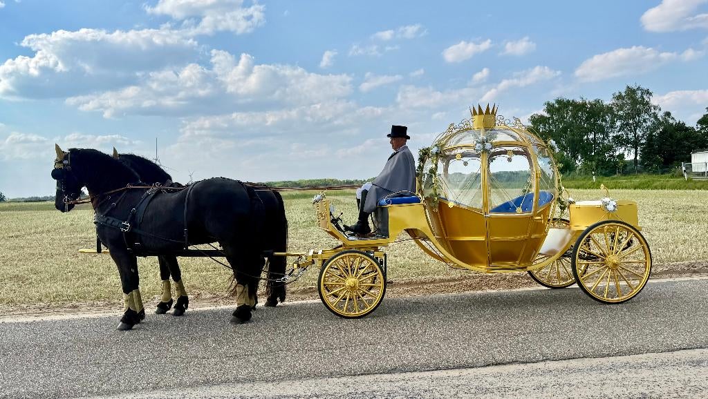Gouden Assepoester koets, Trouwkoets Communie Event, Nieuw, Overige typen, Paard, Gesloten