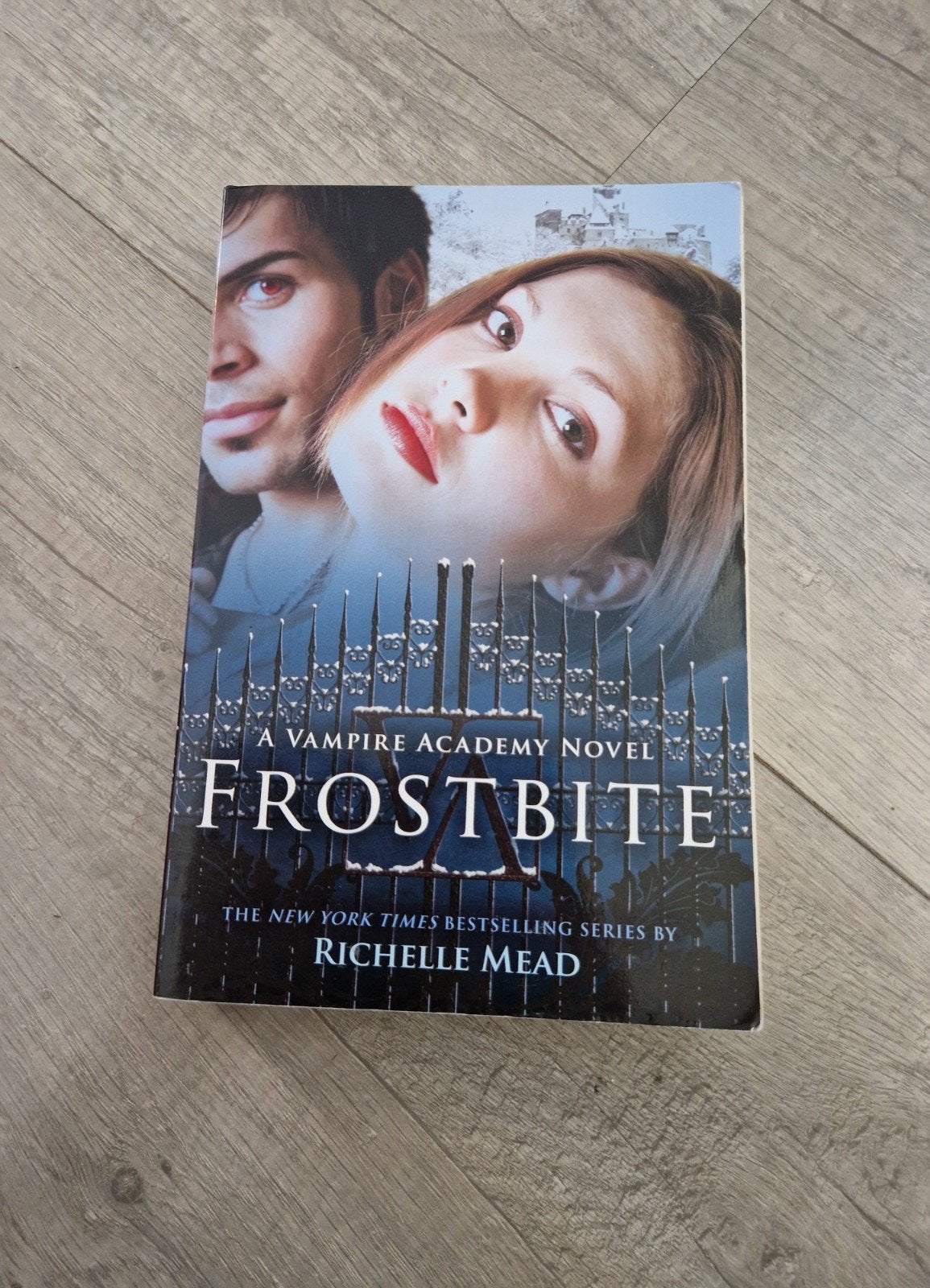 boek richelle mead frostbite vampire academy deel 2 fantasy, Ophalen of Verzenden, Zo goed als nieuw