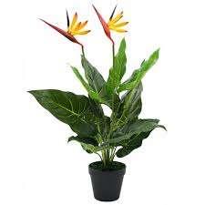 Kunstplant paradijsvogelbloemt 66 cm GRATIS BEZORGD, Binnen, Verzenden, 66 cm, Kunstplant