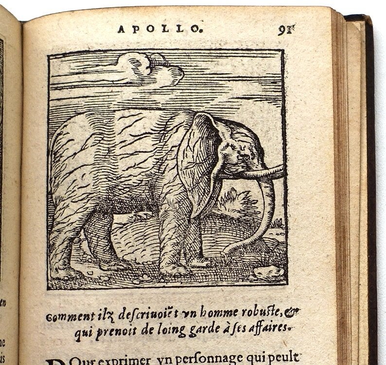 Sculptures ou Graveures Sacrees d’Orus Apollo 1553 194 grav., Ophalen of Verzenden