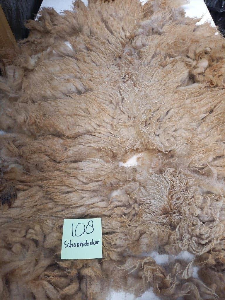 nr 108 Geschoren vacht van een Schoonebeker Heideschaap, Ophalen of Verzenden, Gebruikt