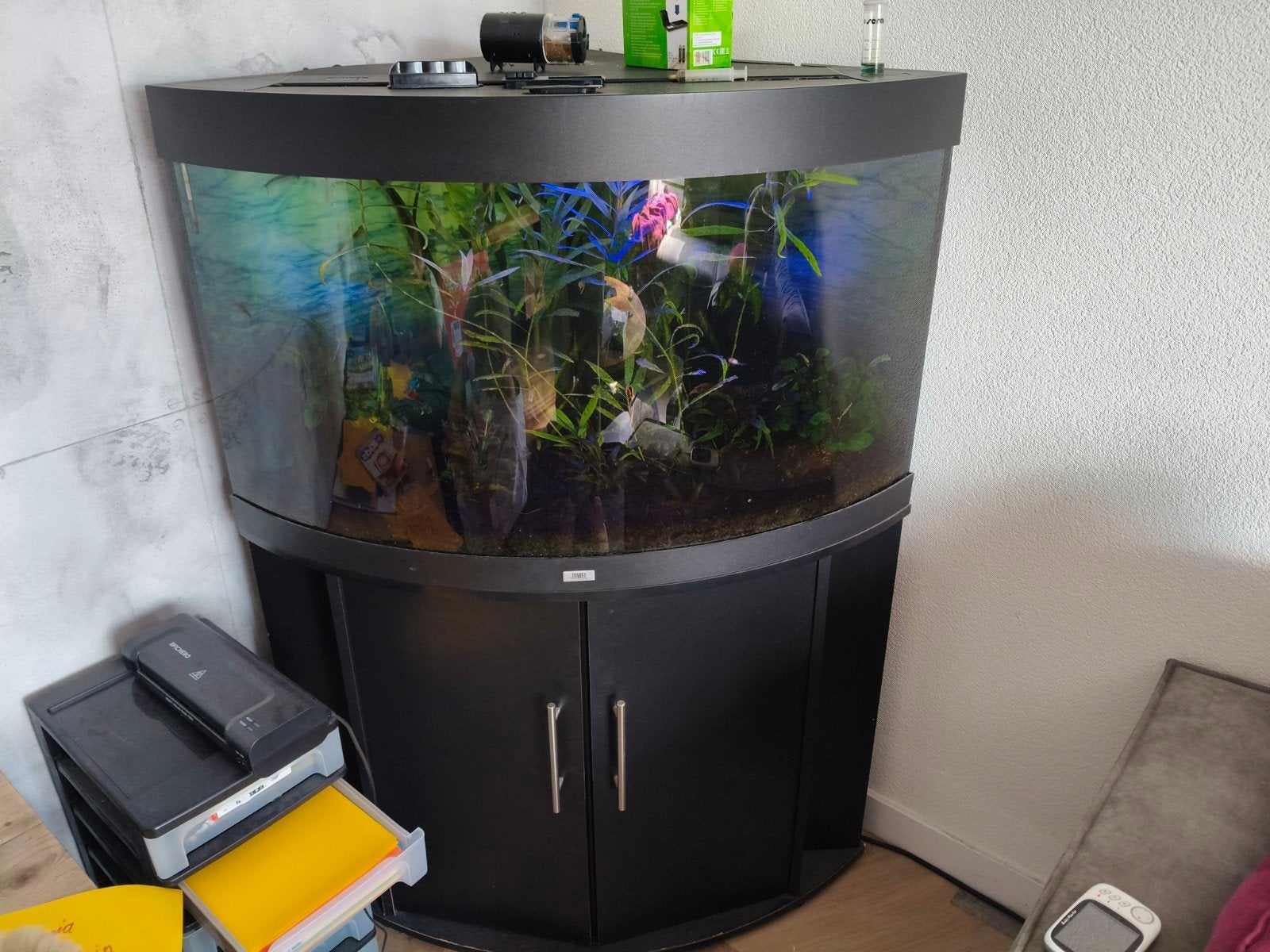 aquarium, Ophalen, Gevuld zoetwateraquarium
