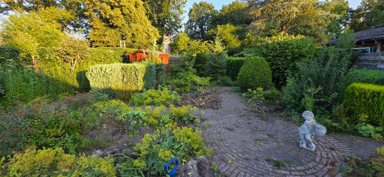 GRATIS Diverse Tuinplanten en Struiken, Ophalen