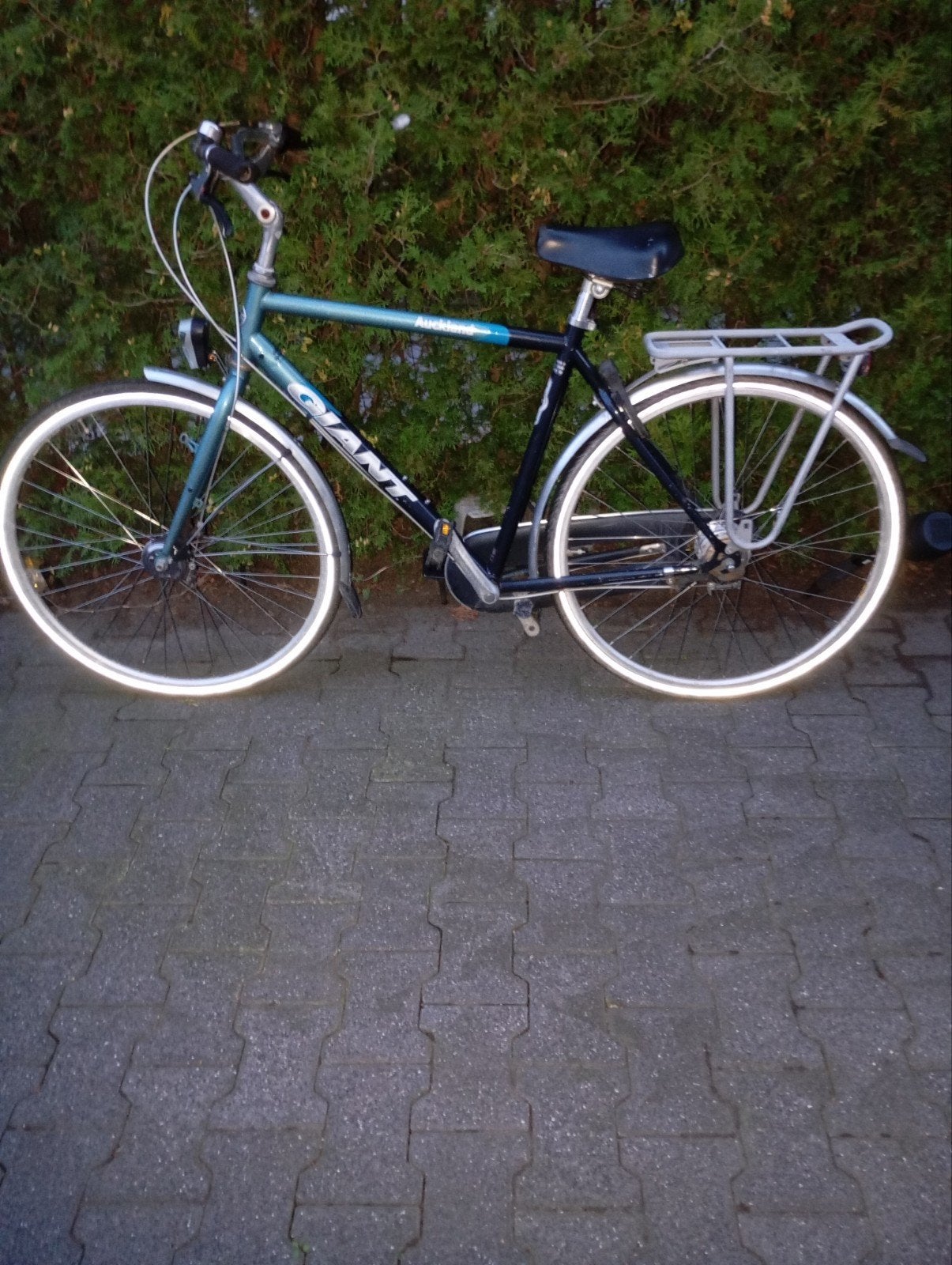 Giant fiets met 7 versnellingen en bagagedrager, Ophalen, Velgrem, Versnellingen, Giant