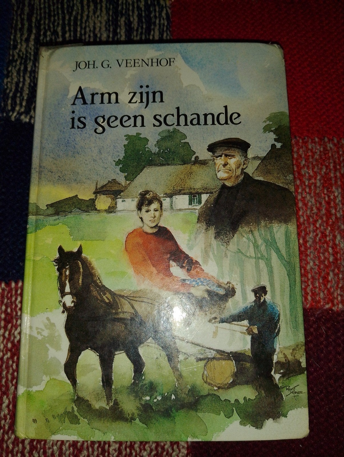 Arm zijn is geen schande - Joh. G. Veenhof, Boeken, Ophalen of Verzenden, Gelezen, Joh. G. Veenhof, Nederland