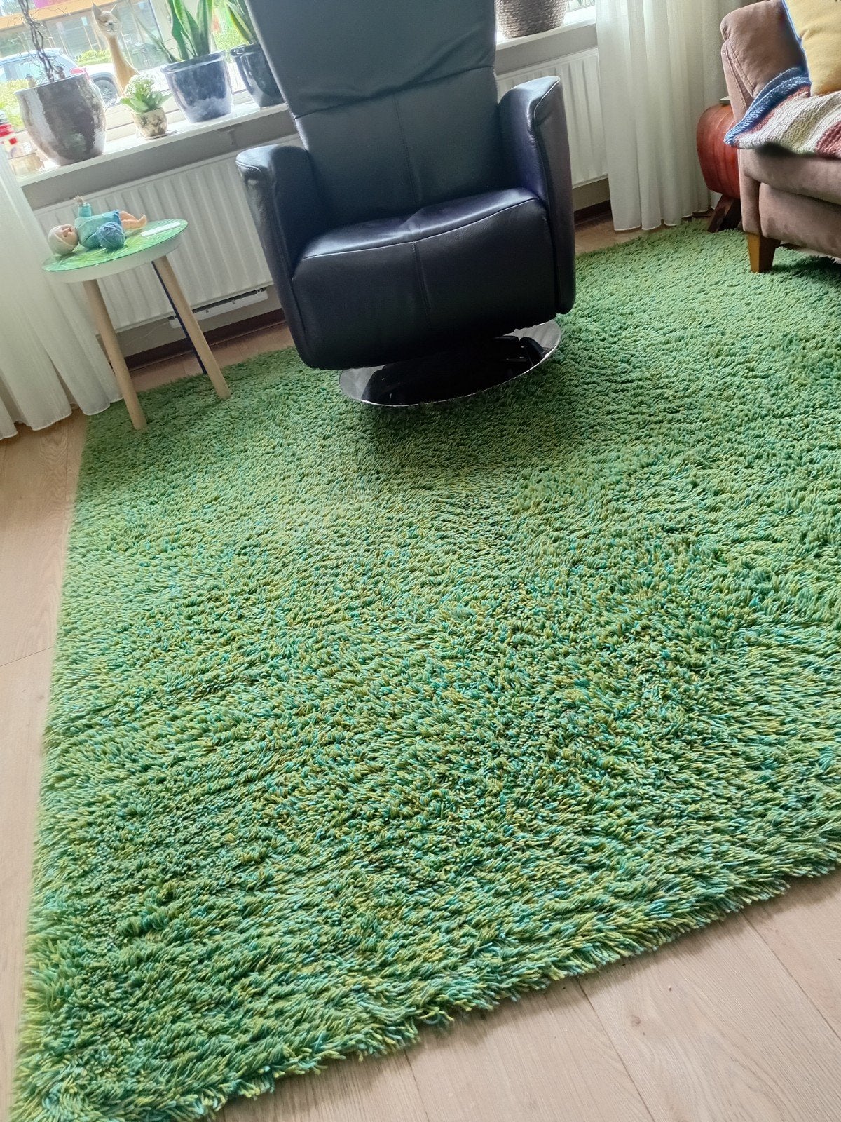 prachtig groen vloerkleed, Ophalen, 200 cm of meer, Zo goed als nieuw, 200 cm of meer