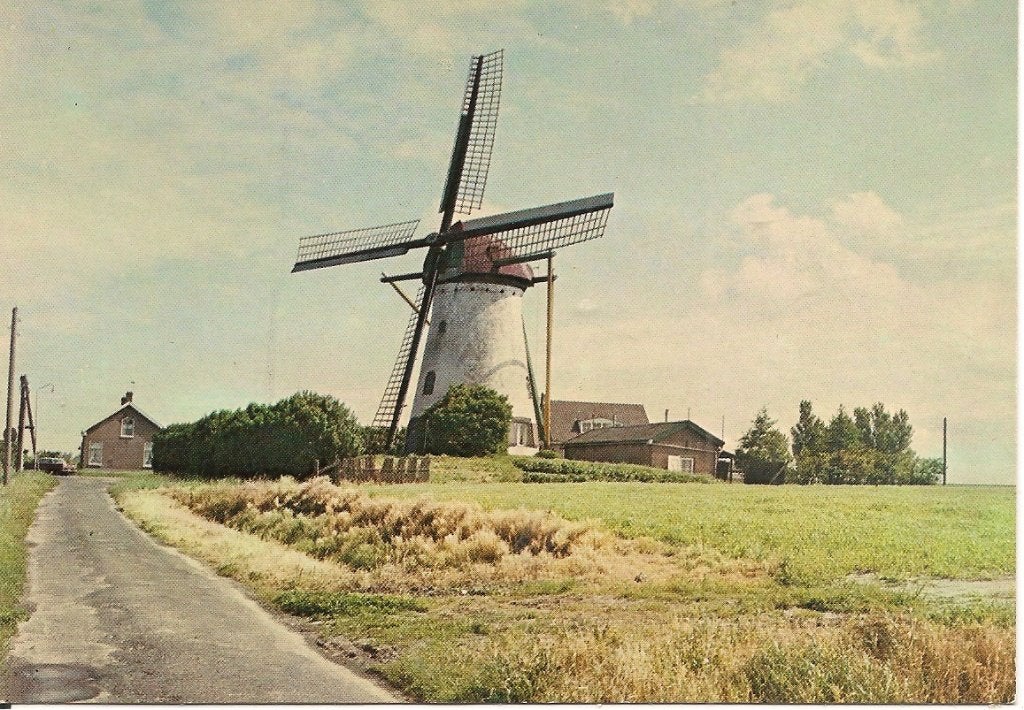 Ansichtkaart Molen "De Koekoek" Dreischor, Zeeland, Ophalen of Verzenden, 1960 tot 1980, Ongelopen, Zeeland