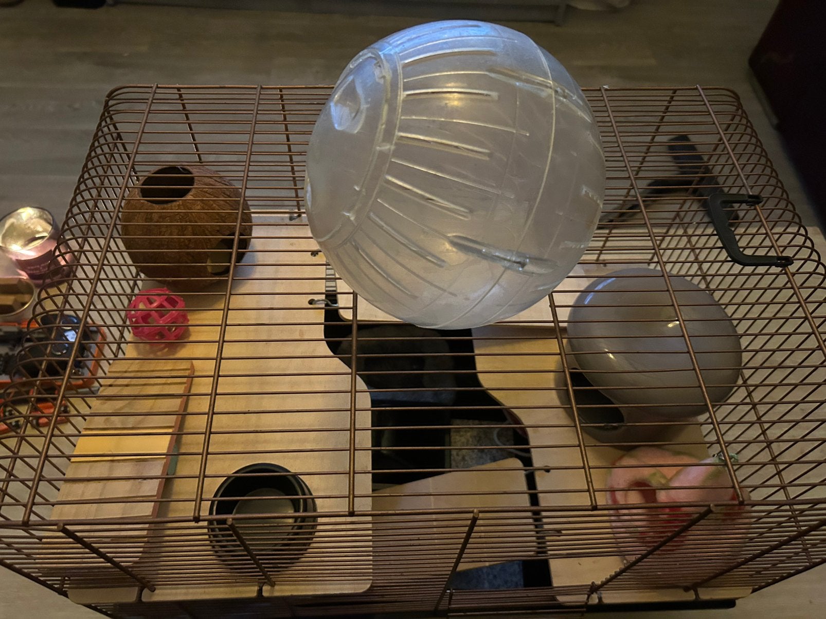 Hamster kooi, Kooi, Gebruikt, Minder dan 75 cm, Hamster