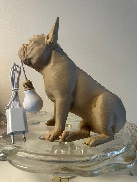 bulldog franse bull hond usb lamp lampje kan branden, Ophalen of Verzenden