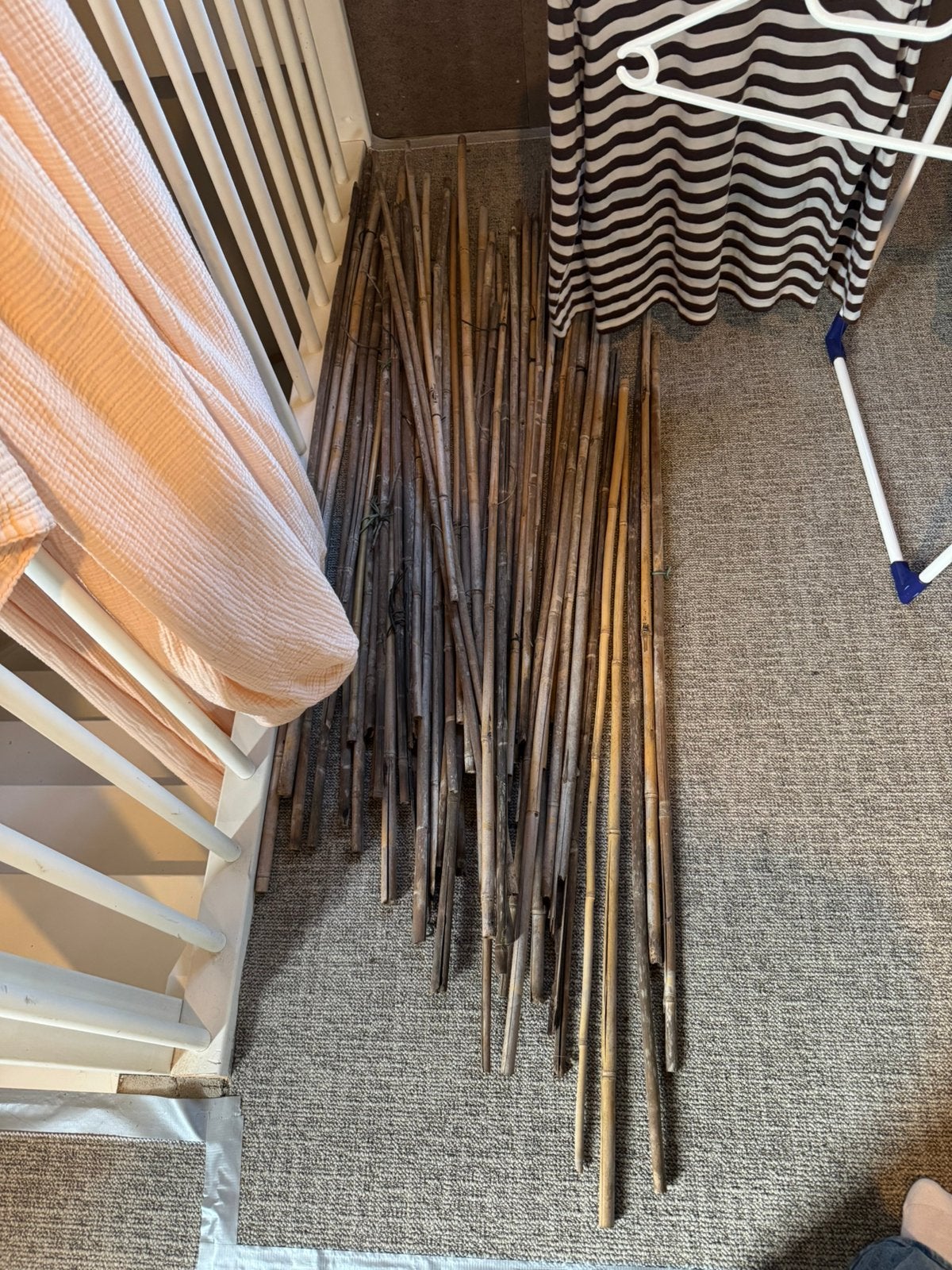 Bamboestokken gratis, Ophalen, Zo goed als nieuw, Minder dan 180 cm