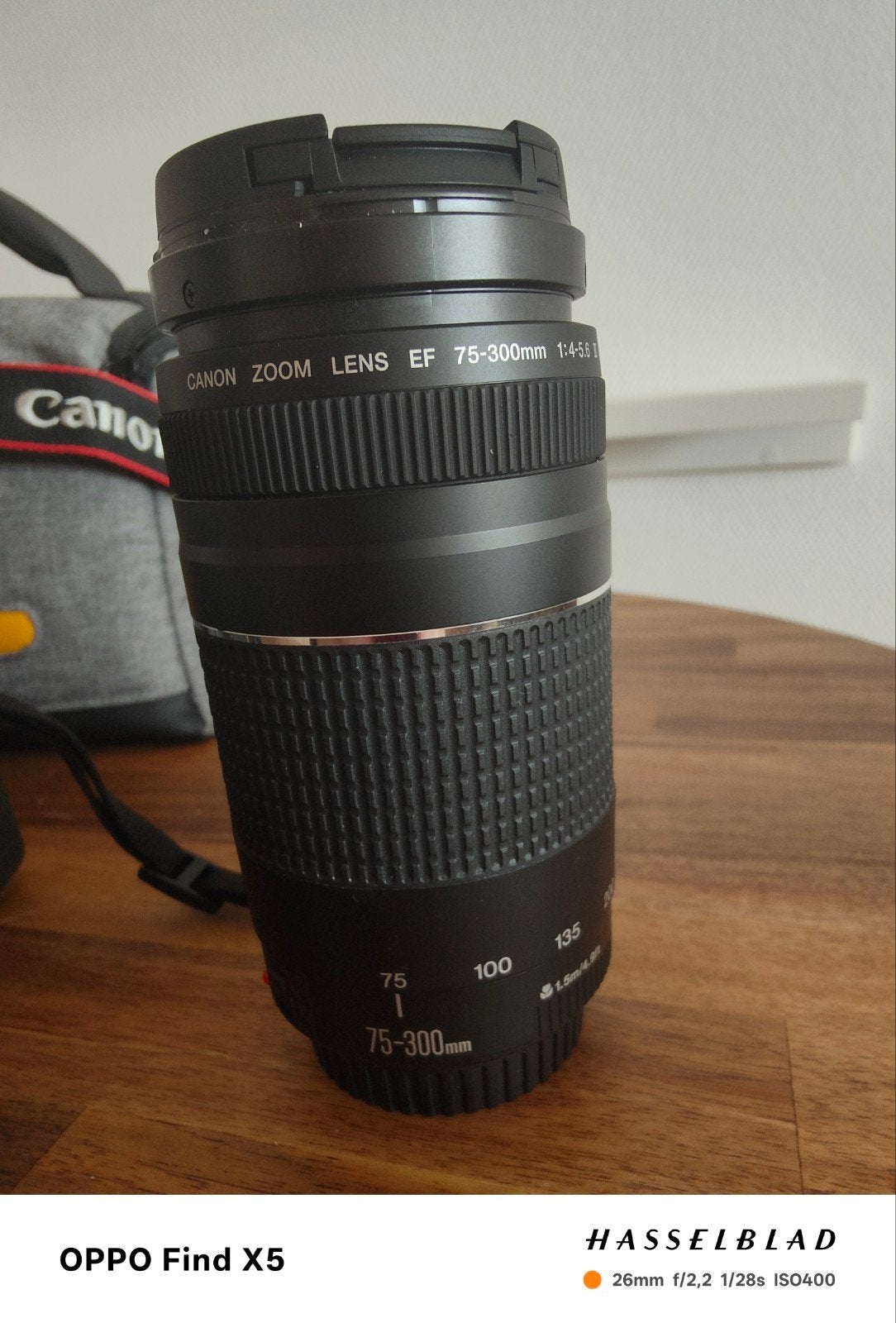 Canon EOS 2000D met 18-55mm en 75-300mm lenzen, Gebruikt, Canon, Ophalen of Verzenden, Zoom