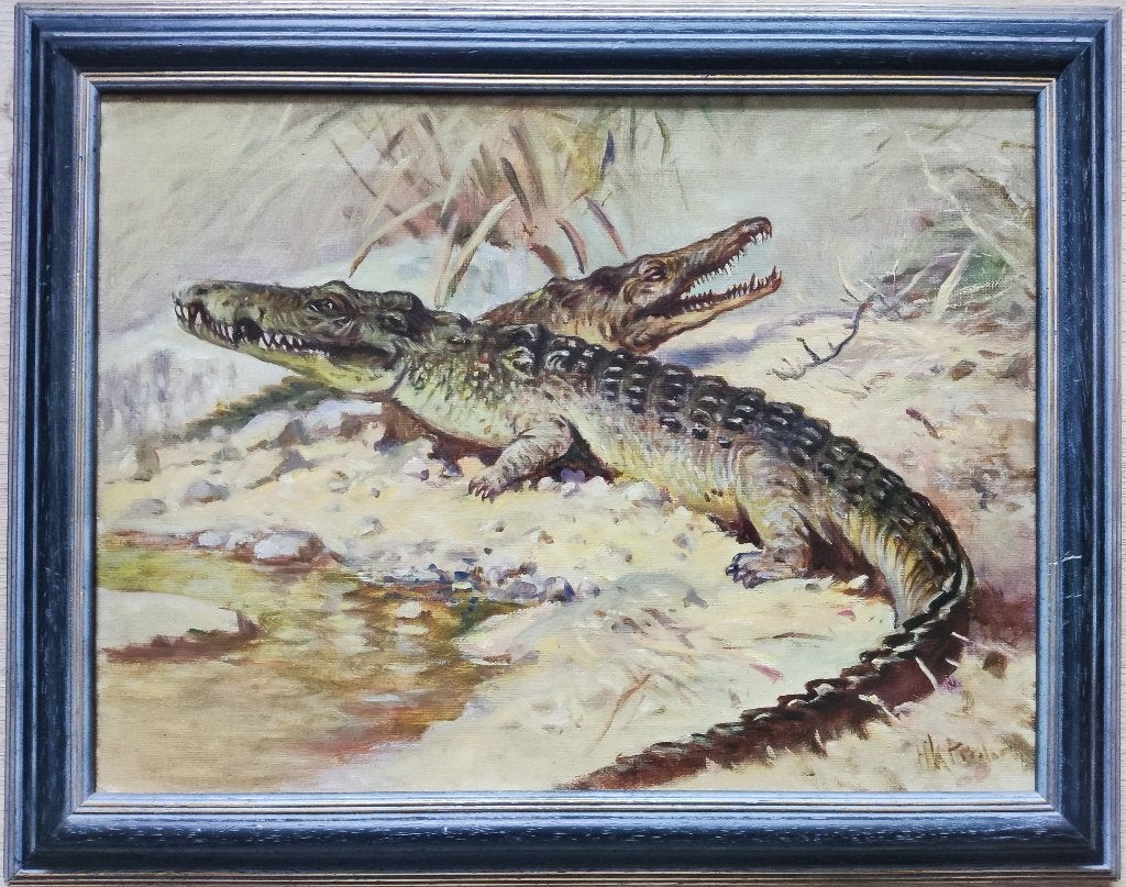 Henk Poeder sr. (1897-1958) - Twee krokodillen, Antiek en Kunst, Doek, Dieren, Ophalen of Verzenden, Olieverf