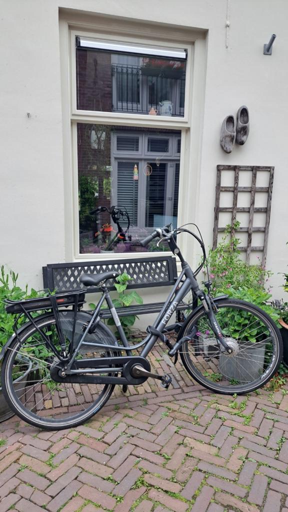 E- bike van Forza grijs., Fietsen en Brommers, Elektrische fietsen, Ophalen of Verzenden, Overige merken