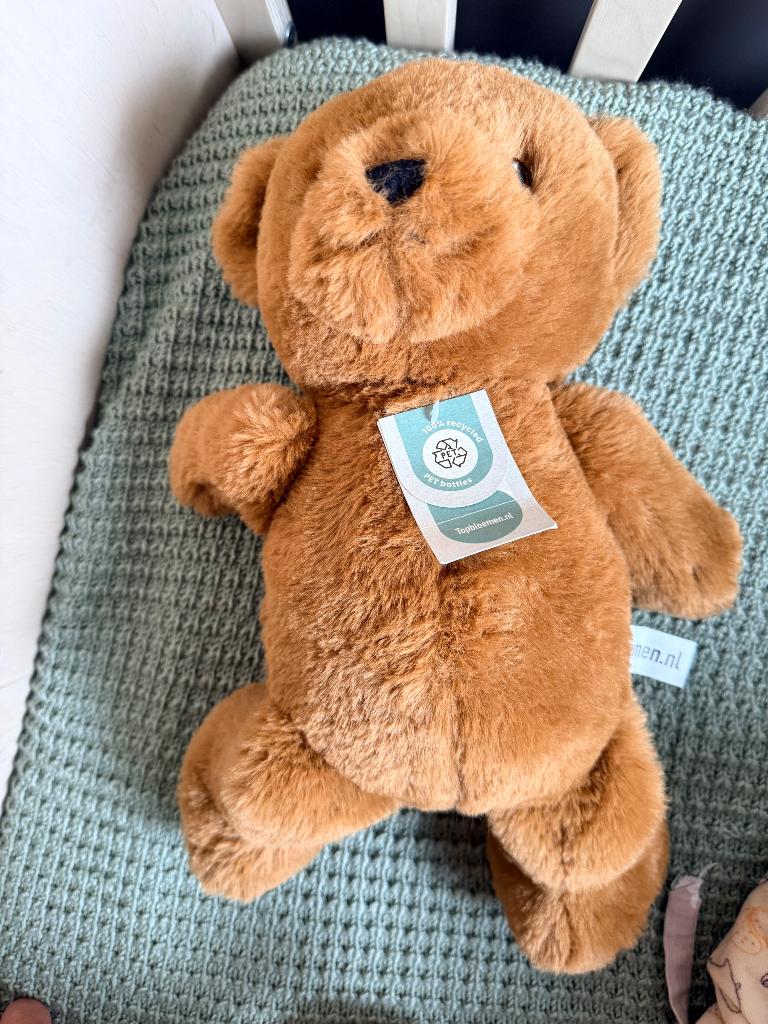 Bon Ton Toys knuffelbeer NIEUW, Ophalen, Overige merken, Beer, Nieuw