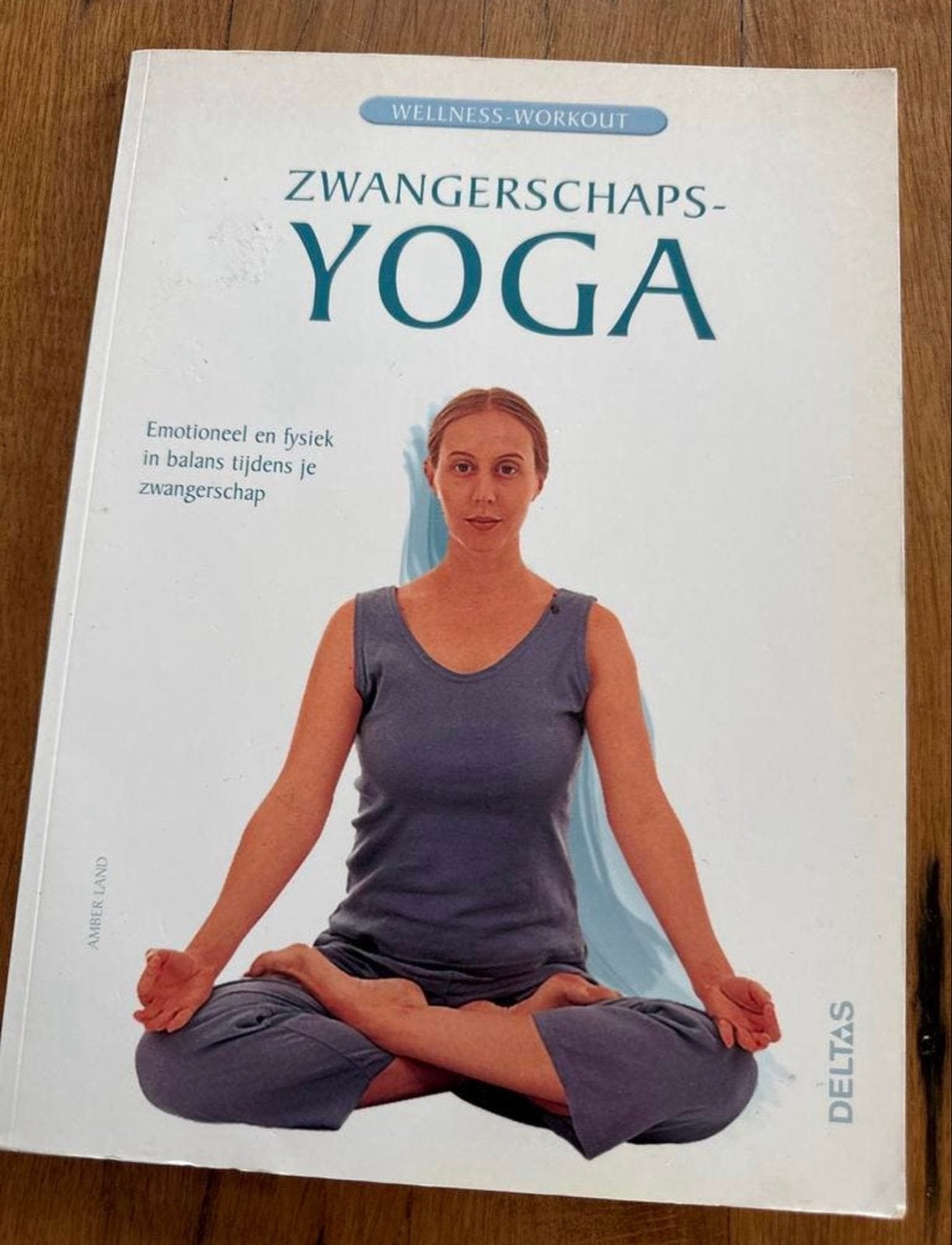 Zwangerschapsyoga - Wellness-Workout Boek, Ophalen of Verzenden, Gelezen, Zwangerschap en Bevalling