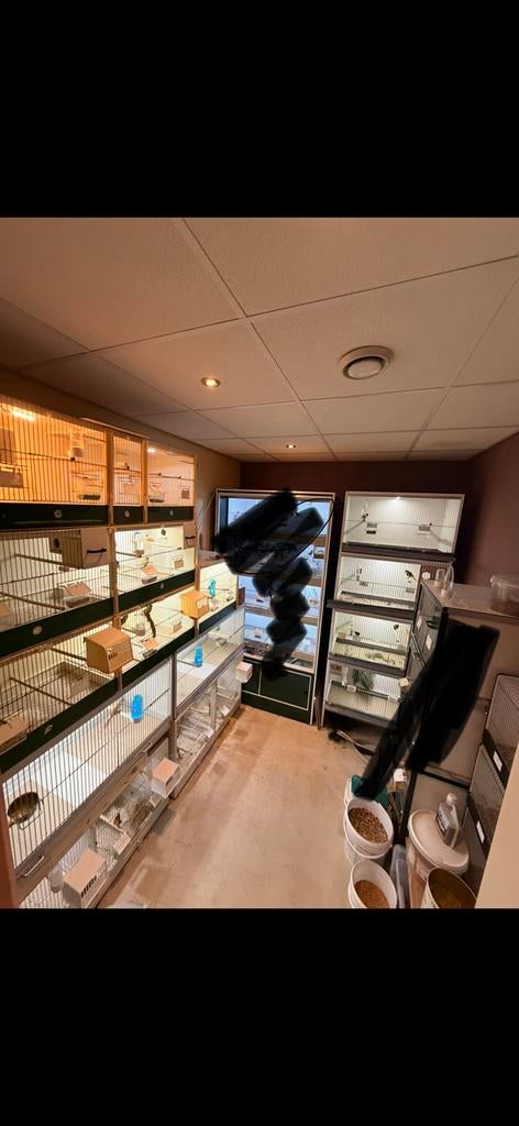 Broedkooien, Ophalen, Zo goed als nieuw