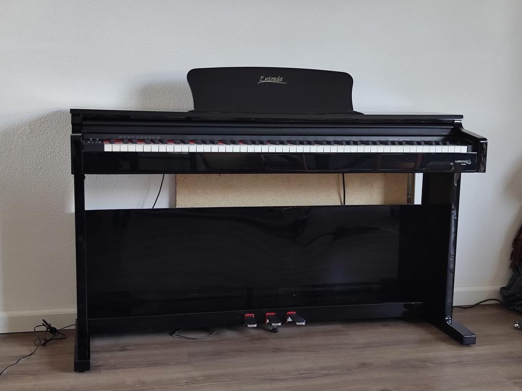 Digitale piano Entrada D-100 (A), Ophalen, Gebruikt, Zwart, Digitaal