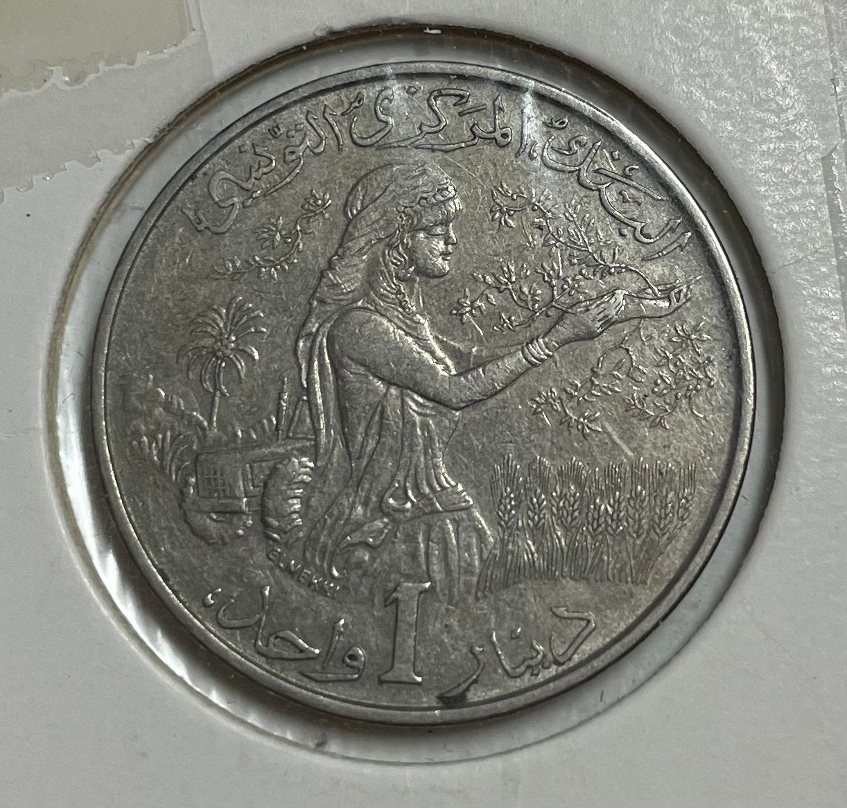 1 dinar Tunesië 1976, Ophalen of Verzenden, Midden-Oosten