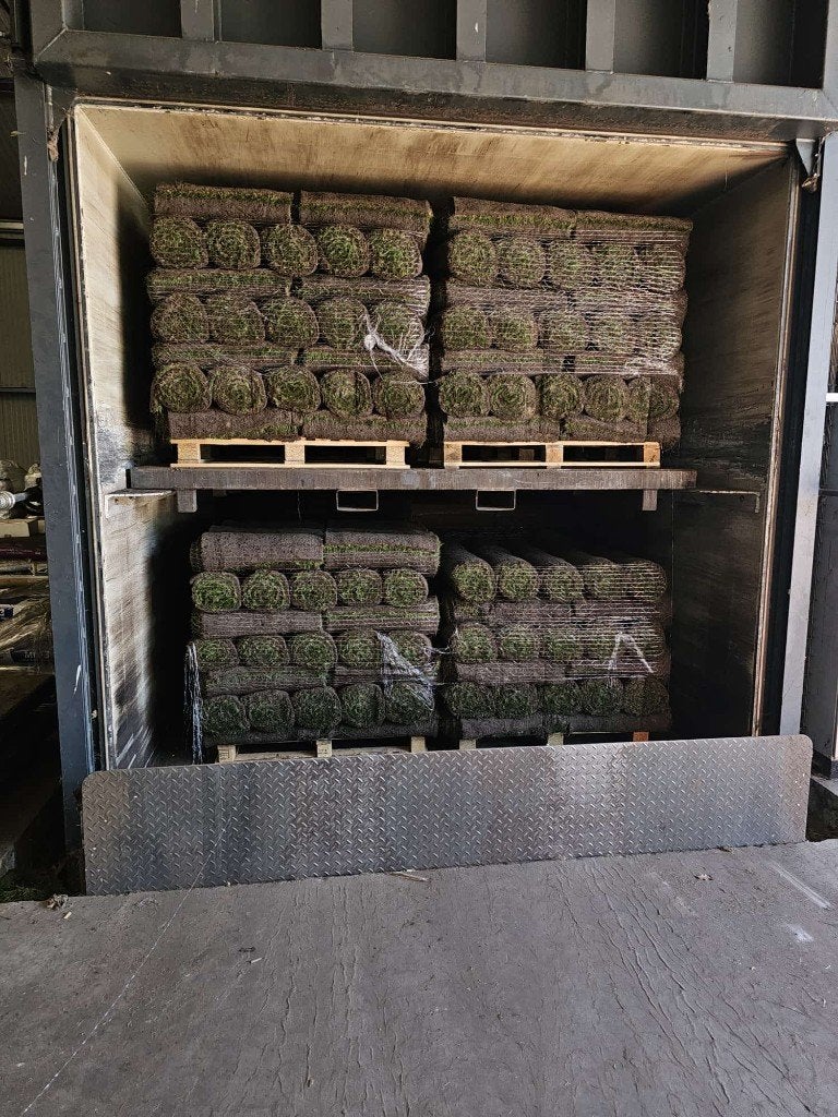 GEKOELDE GRASZODEN, Vandaag leggen. Zoden op voorraad, Bodembedekkers, Volle zon, Vaste plant, Ophalen of Verzenden