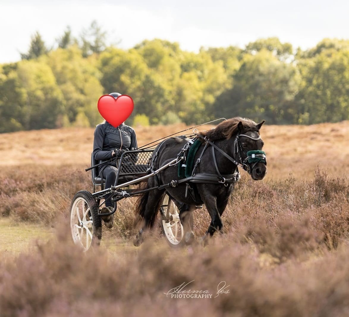 Prachtige HCA sulky 19 inch RVS lamoenen, witte spaakwielen, Zo goed als nieuw, Sulky