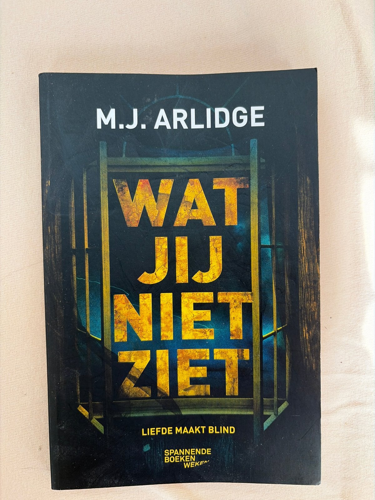 Wat jij niet ziet - M.J. Arlidge (Thriller), Boeken, Thrillers, Ophalen, Gelezen, Europa overig