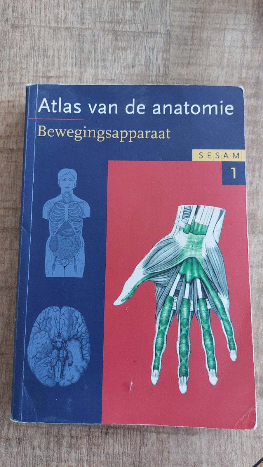 Atlas van de anatomie: Bewegingsapparaat - Sesam 1, Boeken, Studieboeken en Cursussen, Sesam, Zo goed als nieuw, Beta, HBO