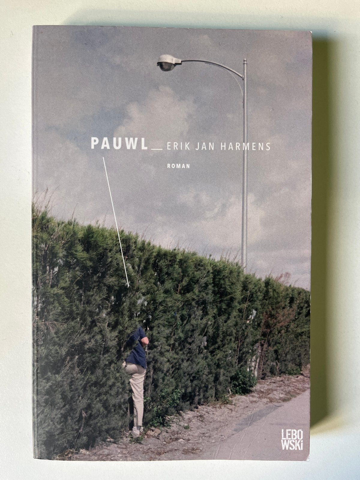 Pauwl - Erik Jan Harmens (Roman), Ophalen of Verzenden, Zo goed als nieuw, Nederland