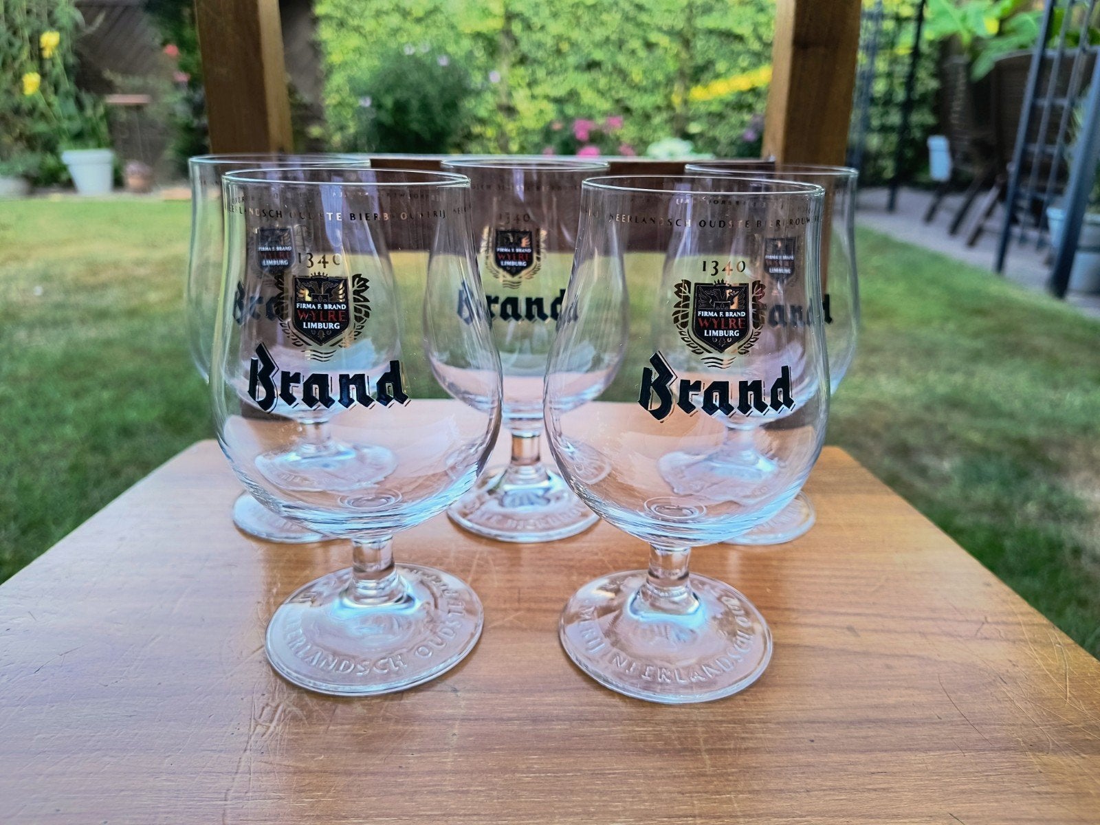 5 Brand Bier Tulp Glazen | Bierglazen Glas | Bierbrouwerij, Verzamelen, Biermerken, Ophalen of Verzenden, Zo goed als nieuw, Glas of Glazen