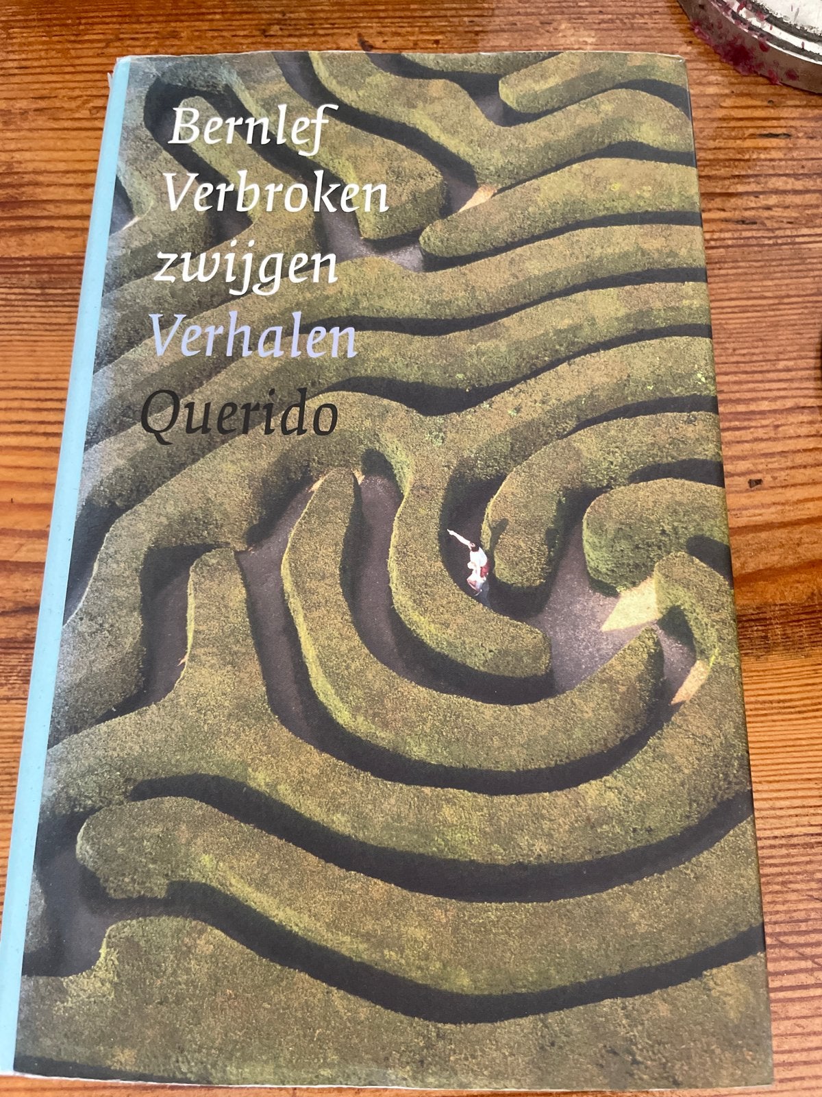 Bernlef - Verbroken zwijgen Verhalen, Boeken, Ophalen of Verzenden, Gelezen, Nederland