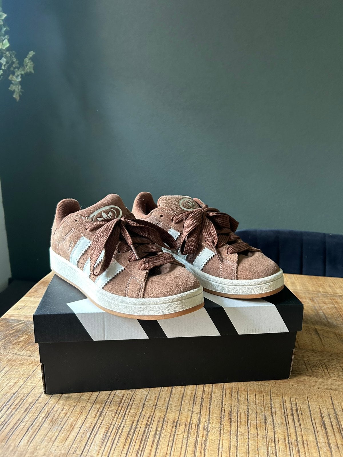 Adidas Campus bruin nieuw, Bruin, Nieuw, Ophalen of Verzenden, Sneakers of Gympen