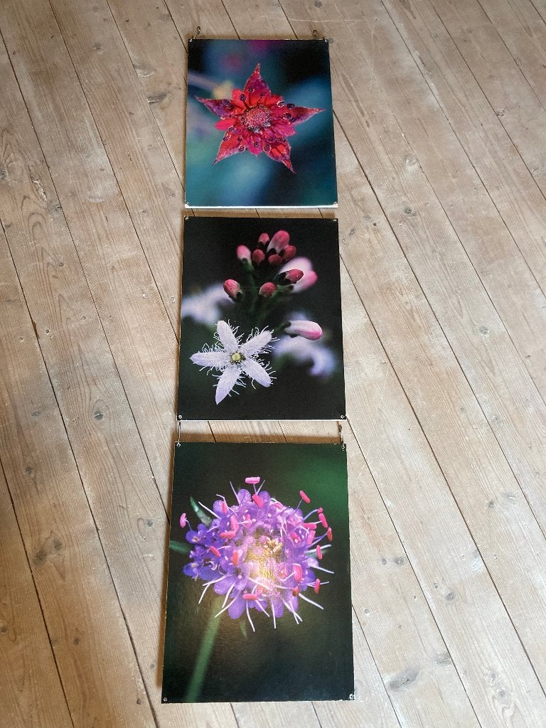 Vintage 3-luik schilderij Ikea bloemen prenten op mdf, Op houten frame, Ophalen of Verzenden, Print, Overige materialen
