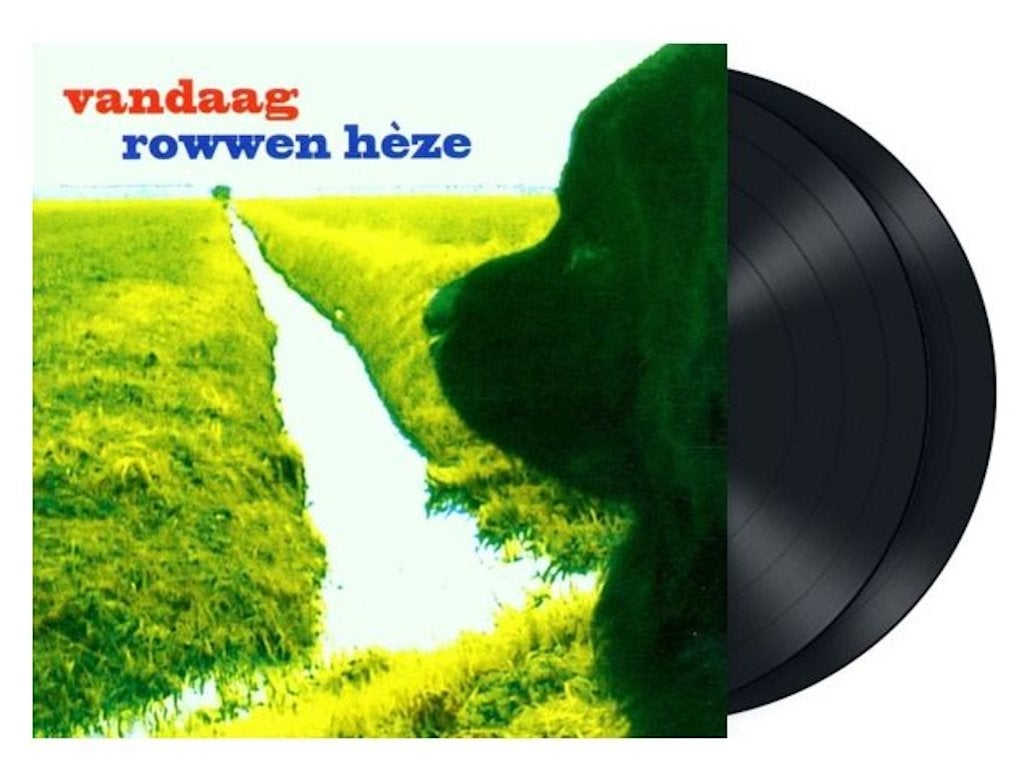 Vinyl 2LP Rowwen Heze Vandaag + 5 Bonus Live Tracks NIEUW, Cd's en Dvd's, Vinyl | Nederlandstalig, Ophalen of Verzenden, Levenslied of Smartlap