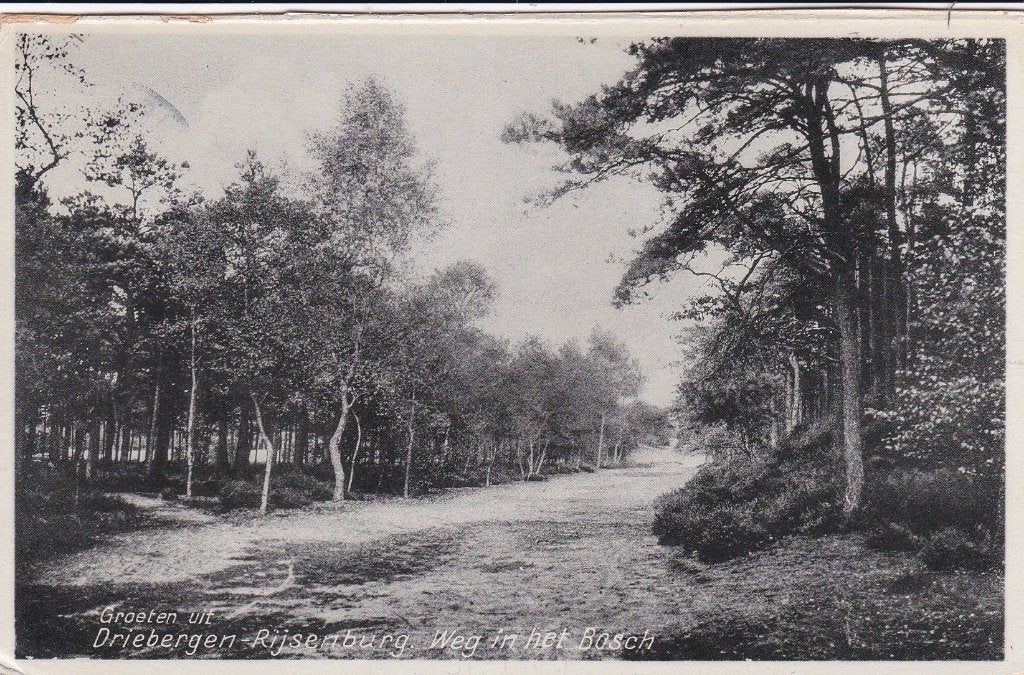18871 Groeten uit Driebergen Rijsenburg weg i het Bosch 1937, Ophalen of Verzenden, 1920 tot 1940, Gelopen, Utrecht