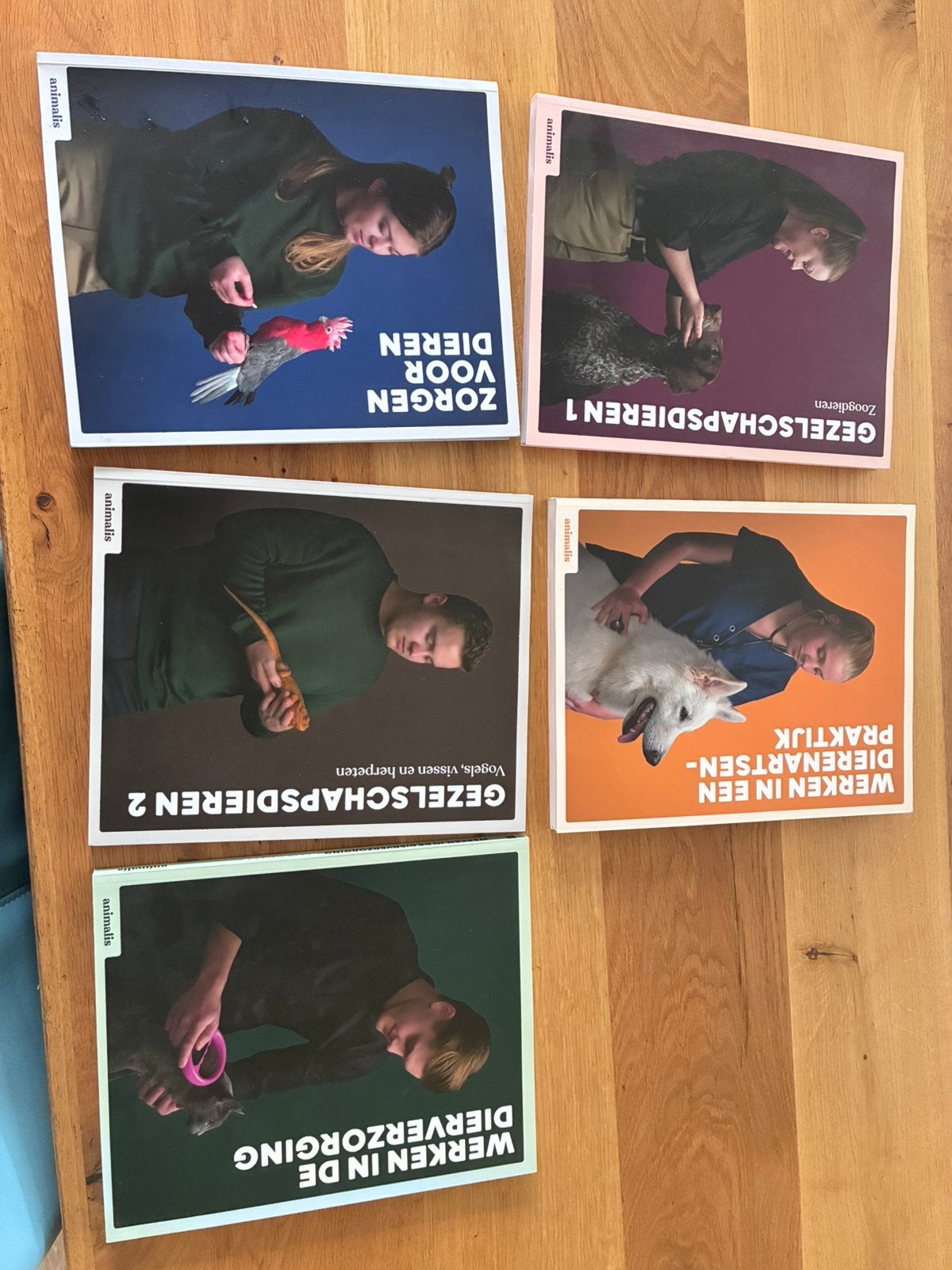 Animalis MBO studieboeken dierenartsassistent/paraveterinair, Boeken, Ophalen of Verzenden, Beta, Zo goed als nieuw, MBO