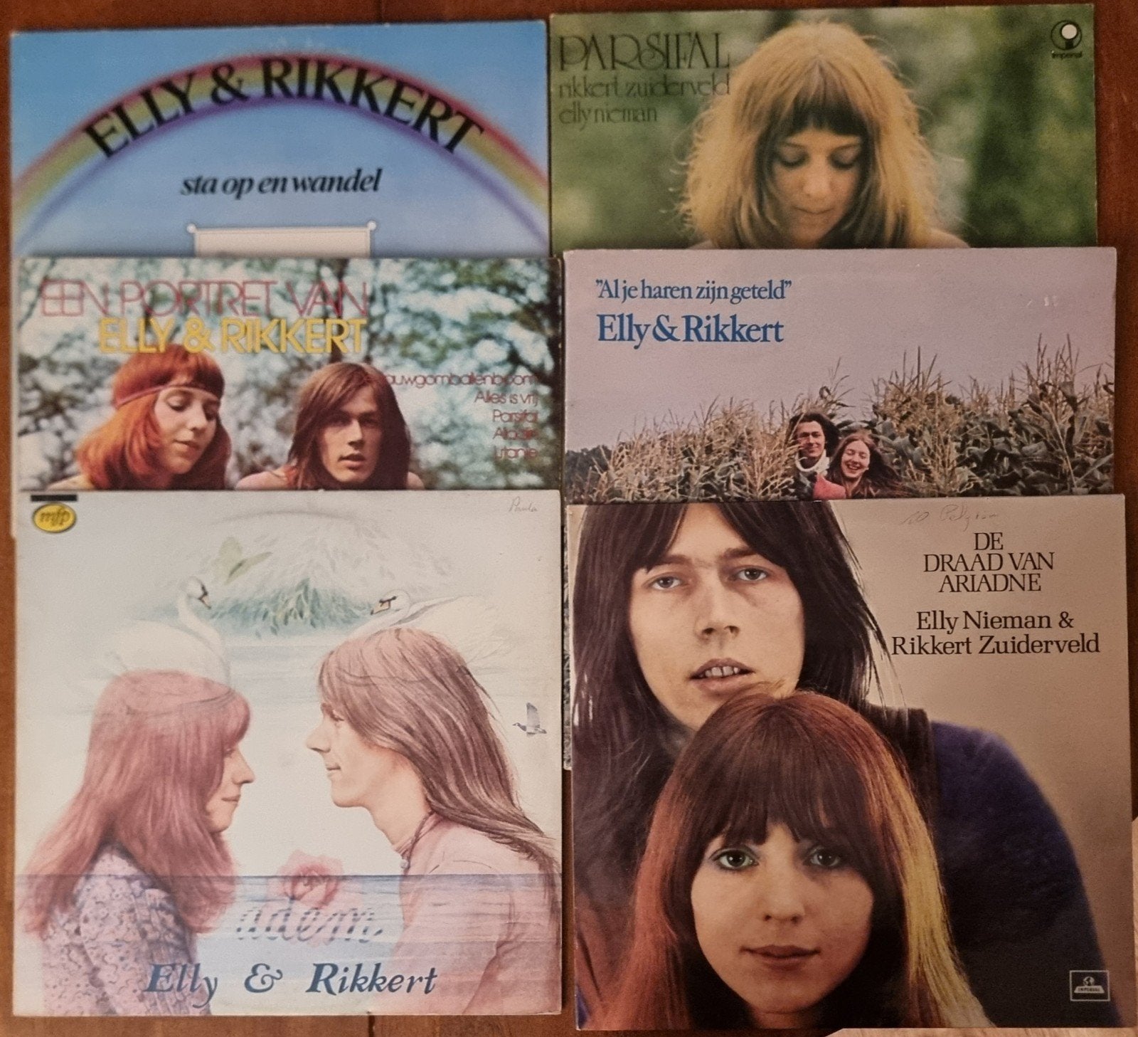 LP/Vinyl • Elly & Rikkert album collectie, Ophalen of Verzenden, Gebruikt, 12 inch, Pop