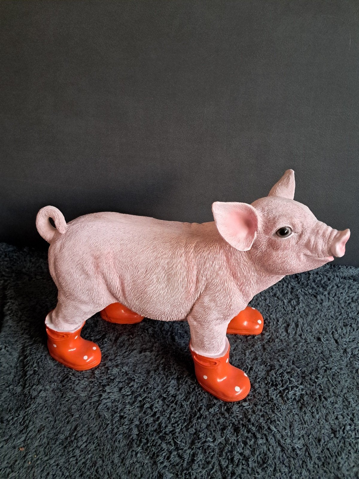 mooi varken te koop, Ophalen of Verzenden, Nieuw, Dier