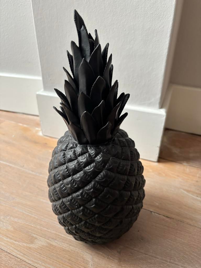 Polspotten Ananas, Ophalen of Verzenden, Zo goed als nieuw