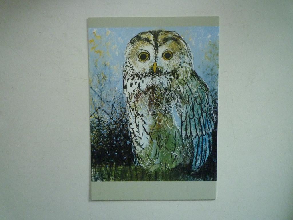Kunstkaart Loes Botman uil uiltje vogel, Ophalen of Verzenden, Voor 1920, Vogel