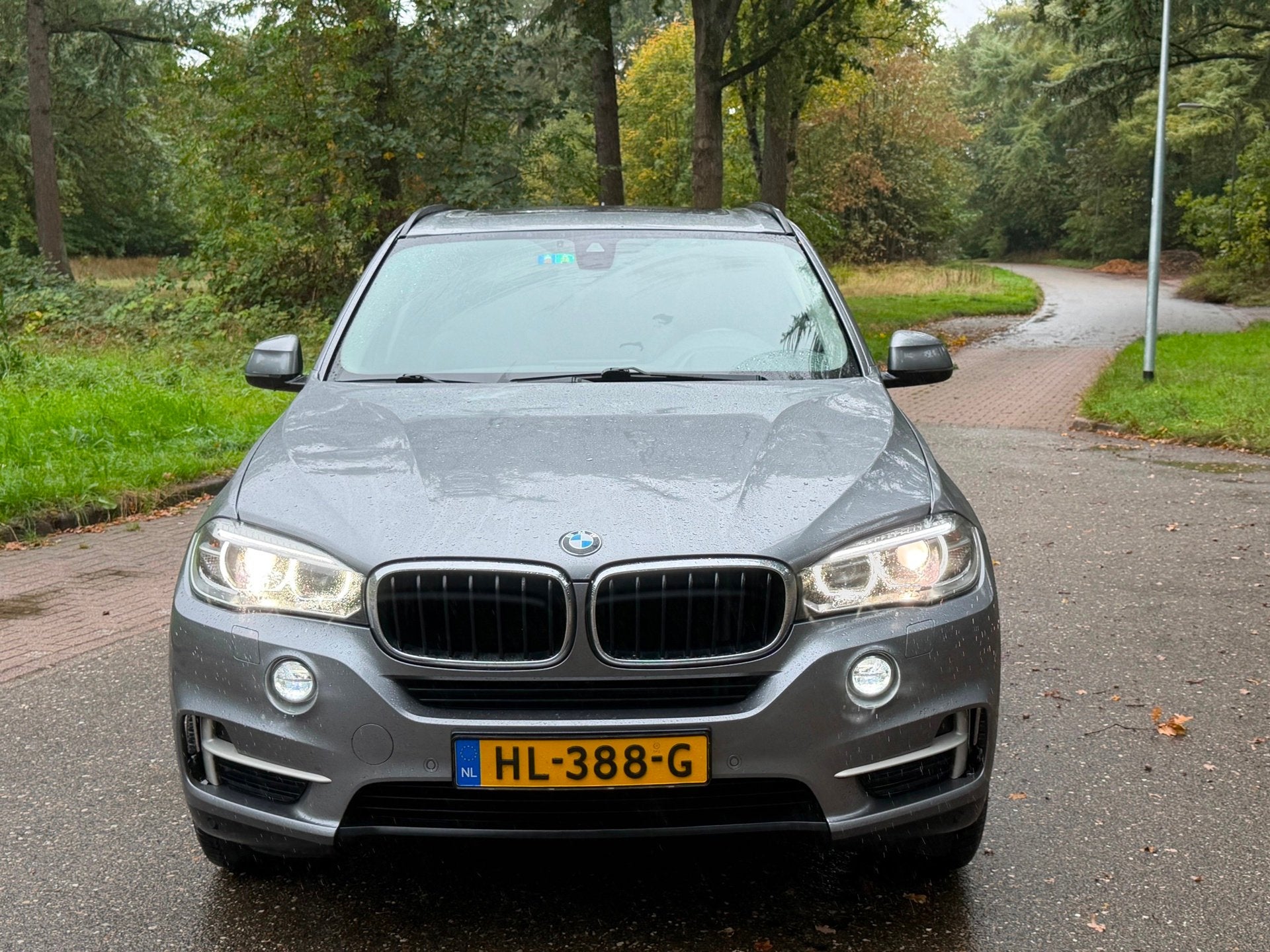 BMW X5 XDrive30d High Executive 7p. 2015 Pano euro6, Auto's, Automaat, Dealer onderhouden, Gebruikt, 2993 cc