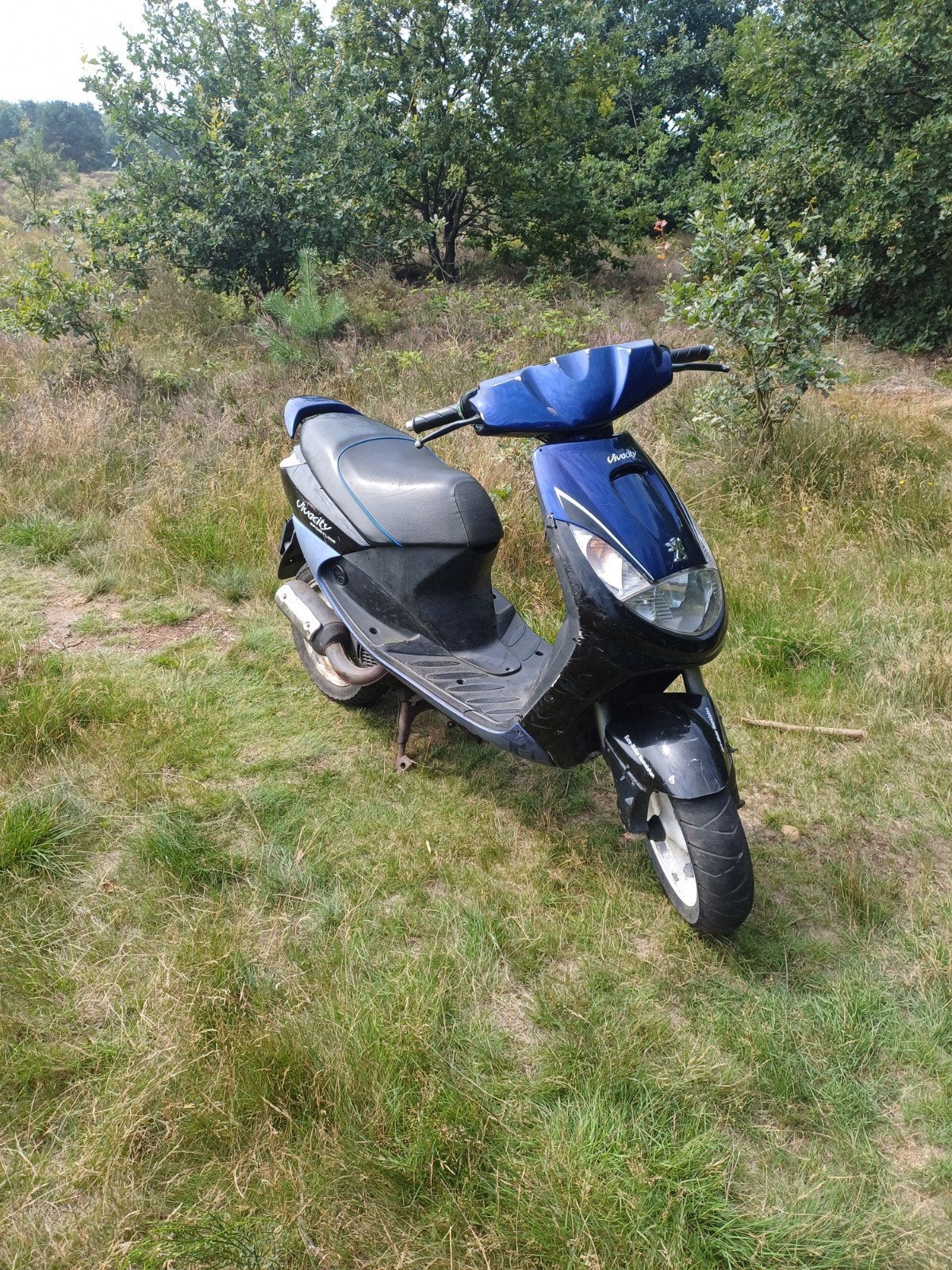 vivacity 50cc, Ophalen, Tweetakt, Gebruikt, Maximaal 45 km/u