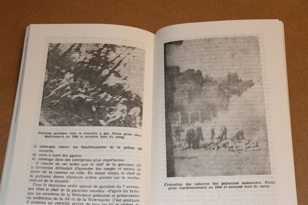 Dossier Auschwitz — Historische Vraagstukken [Franstalig], Ophalen of Verzenden, Tweede Wereldoorlog, Gelezen, Overige onderwerpen