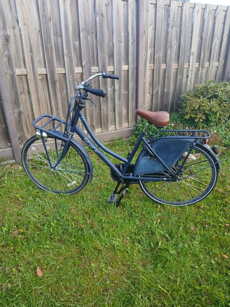 Blauwe static damesfiets., Fietsen en Brommers, Ophalen, Gebruikt, Velgrem, Versnellingen