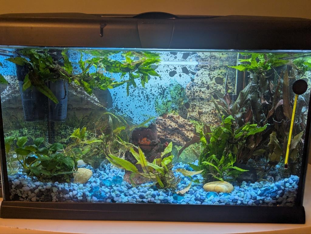 Compleet aquarium Hydor Capri 50 led inclusief nieuwe lamp, Ophalen, Inclusief toebehoren, Zo goed als nieuw, Gevuld zoetwateraquarium