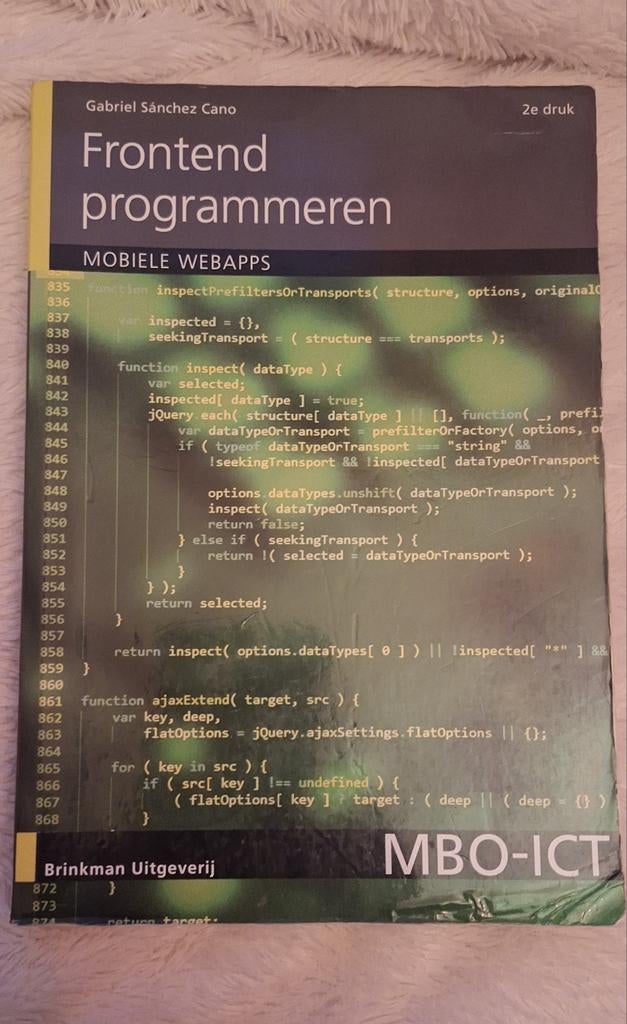 Frontend programmeren & Backend programmeren MBO-ICT, Ophalen of Verzenden, Zo goed als nieuw, Internet of Webdesign, Gabriel Sánchez Cano