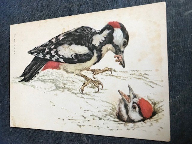 Vogels, Ophalen of Verzenden, Voor 1920, Ongelopen, Vogel