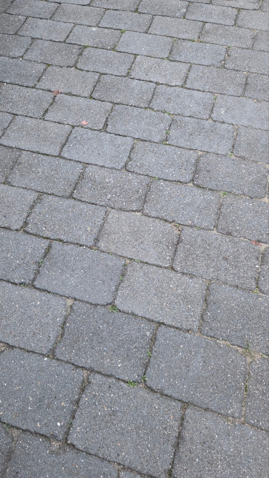15 m² stenen voor stoep/inrit, Ophalen, Beton, Klinkers
