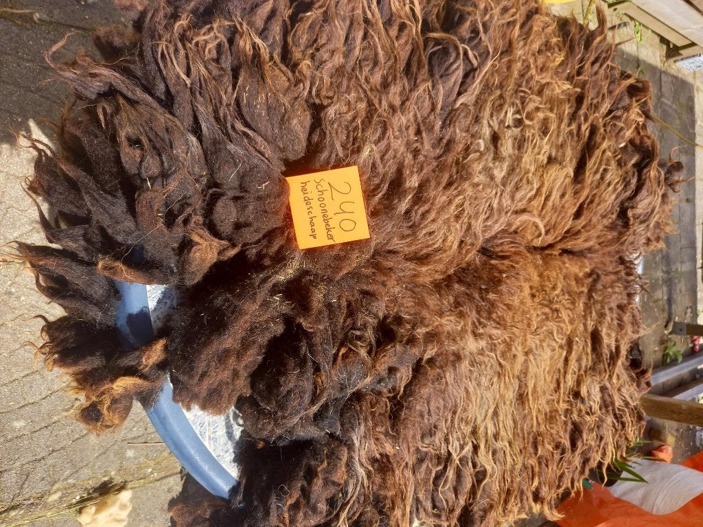 nr 240 Geschoren vacht van een Schoonebeker Heideschaap, Hobby en Vrije tijd, Ophalen of Verzenden, Gebruikt